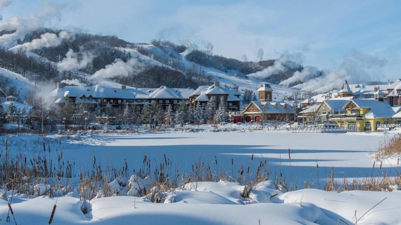 Stunning Townhouse - 3 Bdrm Blue Mountain Village Sauna! Blue Mountains Zewnętrze zdjęcie
