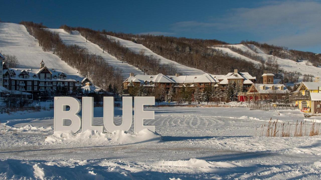 Stunning Townhouse - 3 Bdrm Blue Mountain Village Sauna! Blue Mountains Zewnętrze zdjęcie